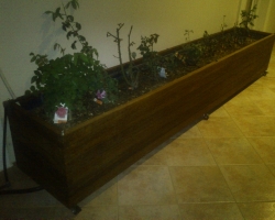 ΣΤΑΜΠΙ ΕΠΙΠΛΑ ΚΗΠΟΥ ΒΕΡΑΝΤΑΣ 06